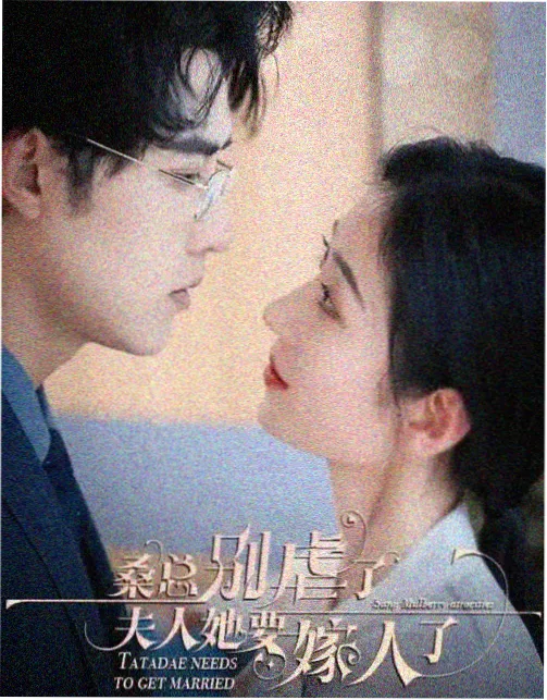 北方影院精读片目群像调度剧集样本